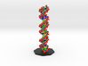 DNA Model "Large, Vertical" LaMuraglia ! 3d printed 