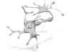 neuron 3d printed 