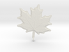 Maple Leaf Rock 3d printed 