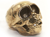 Spider Monkey Skull 50mm 3d printed 