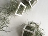 spanish moss cube for wall - small body 3d printed 