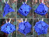 Botanical Dice Ornament Set 3d printed In Royal Blue Strong & Flexible Polished