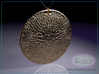 Thalassiosira pseudonana Diatom Pendant ~ 40mm 3d printed Raytraced render simulating polished bronze material