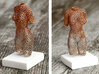 Female Nude Sculpture - Voronoi Mesh 3d printed 