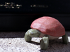 Finlay (the Turtle) 3d printed 