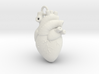 Anatomical human heart 3d printed 
