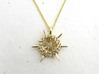 Small Spumellaria Pendant - Science Jewelry 3d printed Small Spumellaria Pendant in polished brass