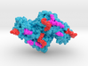 Annexin Monomer 3d printed 