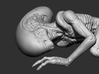 Alien Baby (20cm hollow) 3d printed 