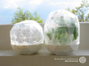 Mini Greenhouse-Dome Set #2 - long (clickable) 3d printed Flexible Mini Greenhouse-Dome with Pot (Sets short and long). Own 3D-prints with white/transparent PLA.