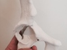 Acetabular Fracture  3d printed Printed in sandstone