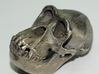 Chimpanzee skull - 77 mm 3d printed Stainless steel print