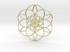 Fractal Flower of life  3d printed 