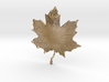 Maple Leaf 3d printed 
