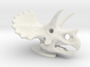 Triceratops Skull 3d printed 
