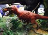 Daspletosaurus Anatomy 3d printed 