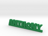 ANTHONY Lucky 3d printed 