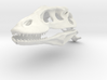 Komodo Craneus and Neck Skeleton 1:5 Scale 3d printed 