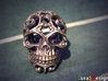 Steampunk Skull filigree 3d printed Raw Brass - aged