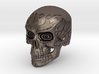 Shifter - Skull 13 3d printed 