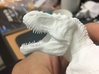 Hunting tyrannosaurus middle size 3d printed 
