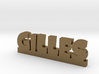 GILLES Lucky 3d printed 