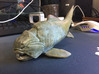 Dunkleosteus middle size(color) 3d printed 