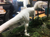 Carcharodontosaurus for stevedexter 3d printed 
