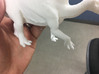 Ouranosaurus (Medium/Large size) 3d printed 