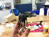 Gorgosaurus (Small/Medium size) 3d printed 
