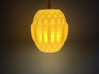 Organic Lamp Shade 1 3d printed 