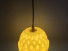 Organic Lamp Shade 1 3d printed 