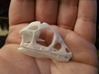 1:1 Scipionyx skull and jaw 3d printed 