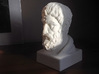 Epicurus Bust 6 inches 3d printed 