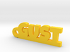 GUST Keychain Lucky 3d printed 