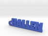 HALLEN Keychain Lucky 3d printed 