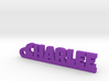 CHARLEE Keychain Lucky 3d printed 