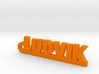 LUDVIK Keychain Lucky 3d printed 