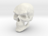 Vampire Skull 3d printed 