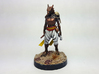 Dragonborn Rogue 3d printed Painted with acrylic paints on a custom 1 inch base.