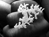Seaweed Ring v.1 - size M 17mm 3d printed 