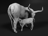 Ankole-Watusi 1:12 Mother and Calf 3d printed 