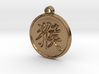 Monkey - Traditional Chinese Zodiac (Pendant) 3d printed 