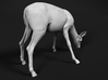 Impala 1:32 Drinking Female 3d printed 