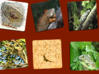 SandStone Nature JigSaw Puzzles 3d printed 