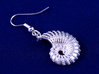 Nautilus Shell Earrings 3d printed exterior side
