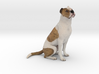 Brown and White Couped Stafford Pitbull 001 3d printed 