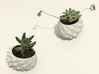 Bumpy Succulent Planter - Small 3d printed 'bumpy' planter - small & medium versions