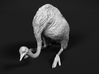Ostrich 1:20 Guarding the Nest 3d printed 