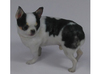Scanned Chihuahua Dog -892 3d printed 